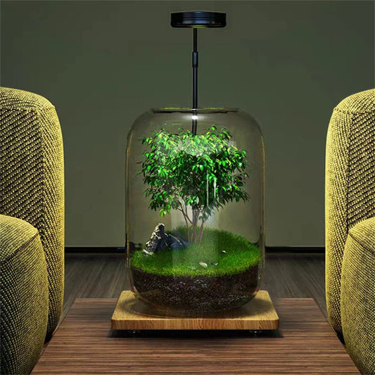 Tree Of Life - Plant Terrarium
