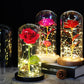 Enchanted Rose
